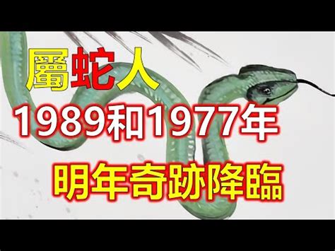 1989生肖蛇|1989年屬蛇人：一生的性格及命運